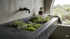 The Living Monolith: Why the Concrete and Moss Juxtaposition is 2026’s Boldest Design Trend